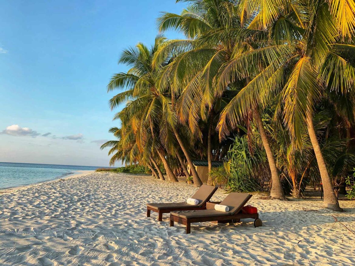 Brown wooden chairs on beach during the daytime